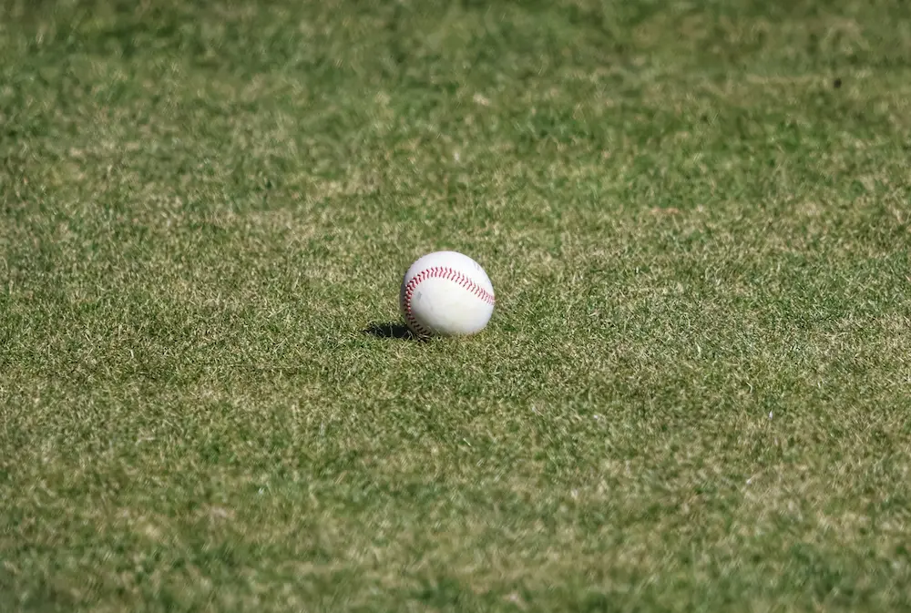 Comets Sweep Eastern New Mexico to Stay Perfect at Home