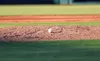 Tracking the Texas Rangers' 2025 MLB Draft Class: Signings and Commitments