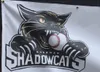 Shadowcats Score Season-High 20 Runs in Win Over Outlaws