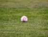 Texas Rangers Farm Report: A Sunday Full of Drama 08/24/25