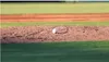 Five Rangers Prospects to Keep An Eye on In 2026