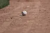 Rangers Announce Minor League Awards for May