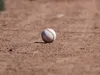Texas Rangers Farm System Recap (June 8-14): Hub City Makes History