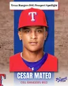 Texas Rangers DSL Prospect Spotlight: Cesar Mateo