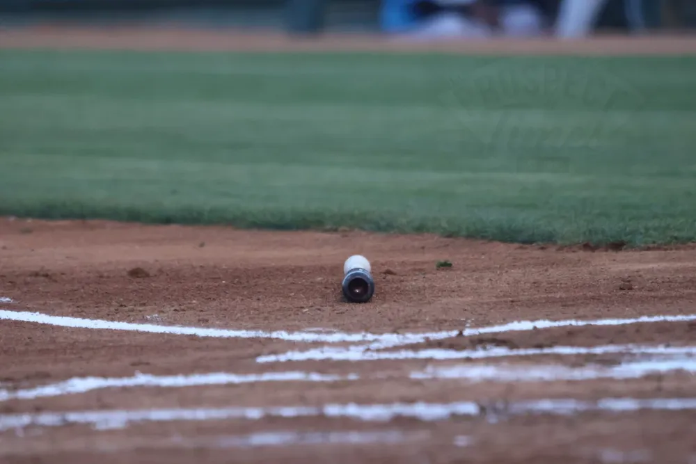 Express Walk Off on Rafael Ortega's Home Run