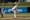 Arias delivers for RoughRiders 6th walk-off
