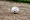 Hickory Crawdads Game Recap: Loomis’ Strikeout Clinches Thrilling 6-5 Win