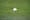 RoughRiders lost both games of the DH
