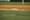 Minor-League round up December 2nd 2020