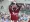 AJ Alexy promoted; Yerry, Snyder and Sherten Apostel to Triple-A