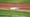 Two Crawdads: Zak Kent and Dustin Harris POTW Aug 2-8