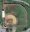 Baseball Roars Back to Sherman: Shadowcats Take the Field in 2024
