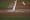 Texas Rangers farm report: 1st edition