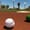 Surprise Saguaros win the 2022 AFL Championship