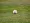 Oliver Guerrero Earns DSL Hitter of the Week Honors