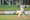 (F)arm Breakdown: Leandro Lopez vs the Midland RockHounds