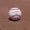 Rangers Announce Minor League Award Winners for April