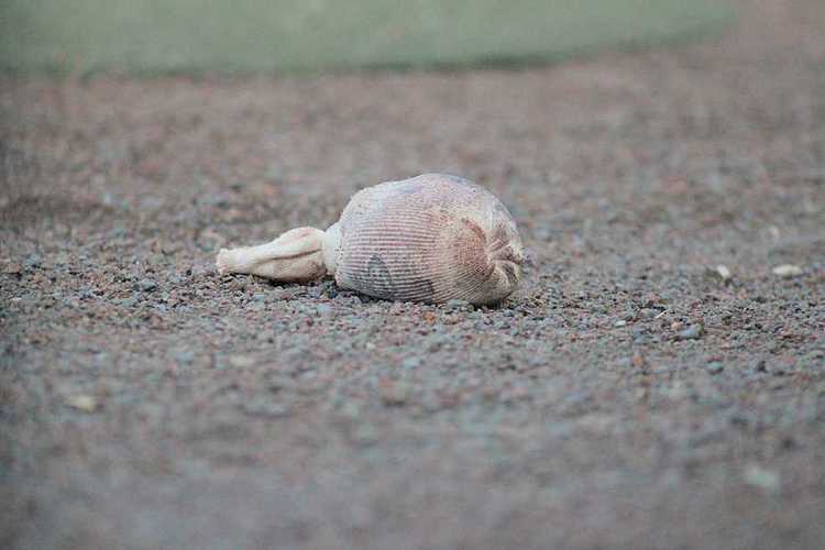 Operation Pitching: Mission[s] Successful