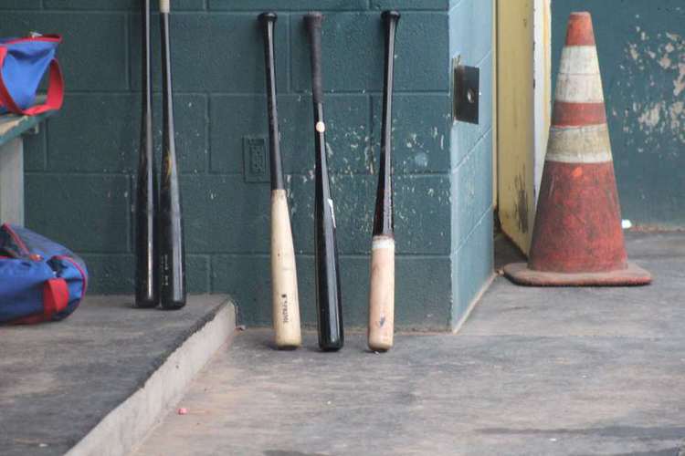 MiLB season has been delayed due to the coronavirus (covid-19)