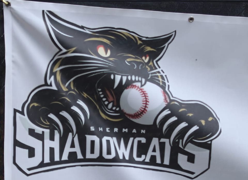 Shadowcats Score Season-High 20 Runs in Win Over Outlaws
